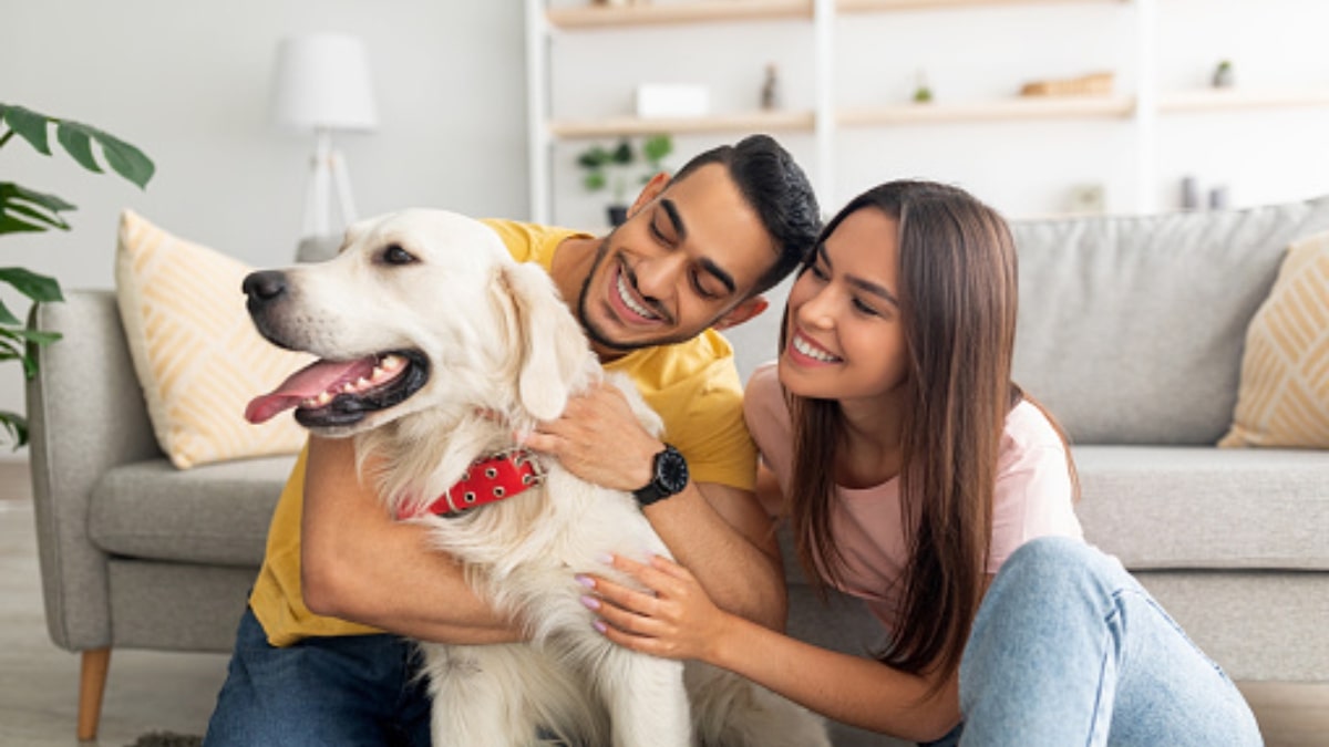 Ambiente sicuro per il cane