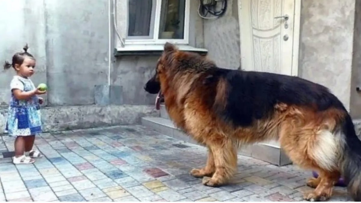 la bambina salva il cagnolone