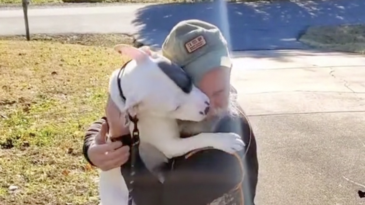 La cagnolina in lacrime abbraccia i genitori adottivi