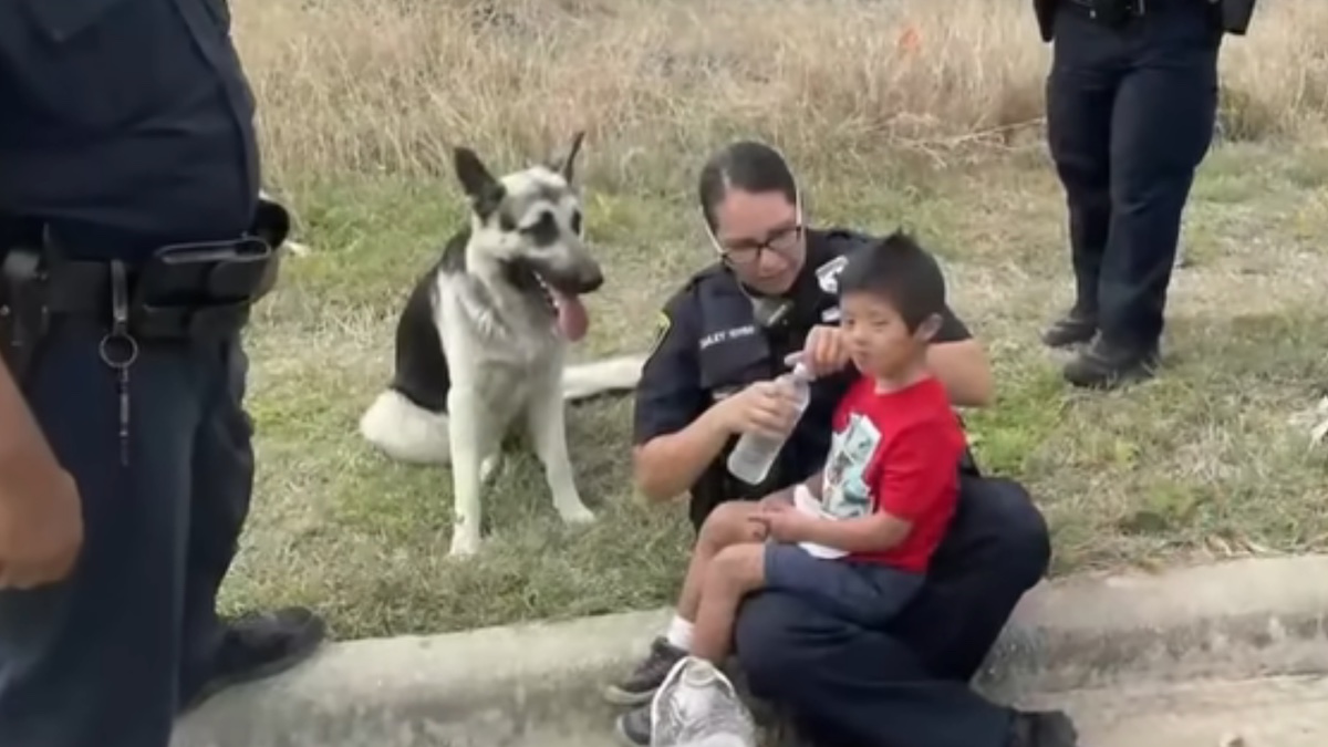 Il cagnolone Alejandro e il bambino