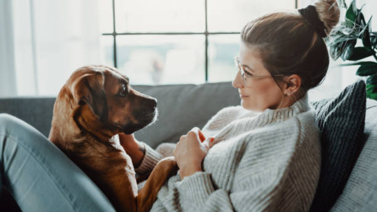 Cane annusa il tumore della padrona