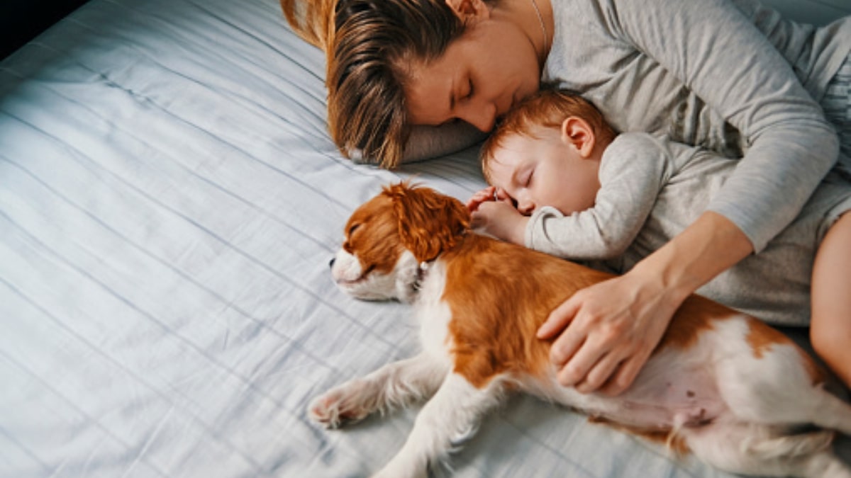 Vantaggi e rischi nel dormire con il cane