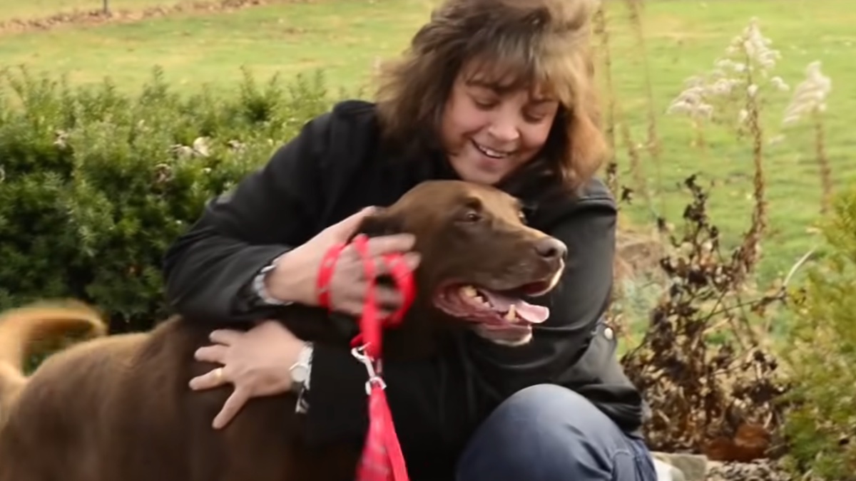 Il Labrador che ha ritrovato la sua famiglia dopo 5 anni