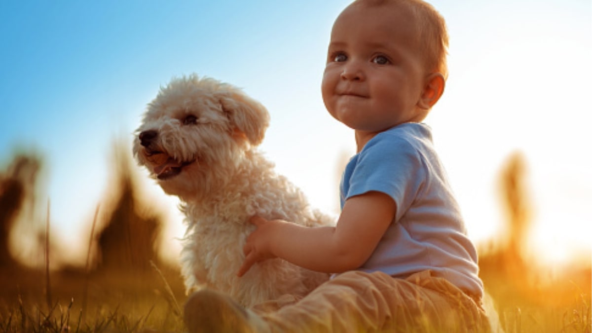 Il cane randagio salva il neonato