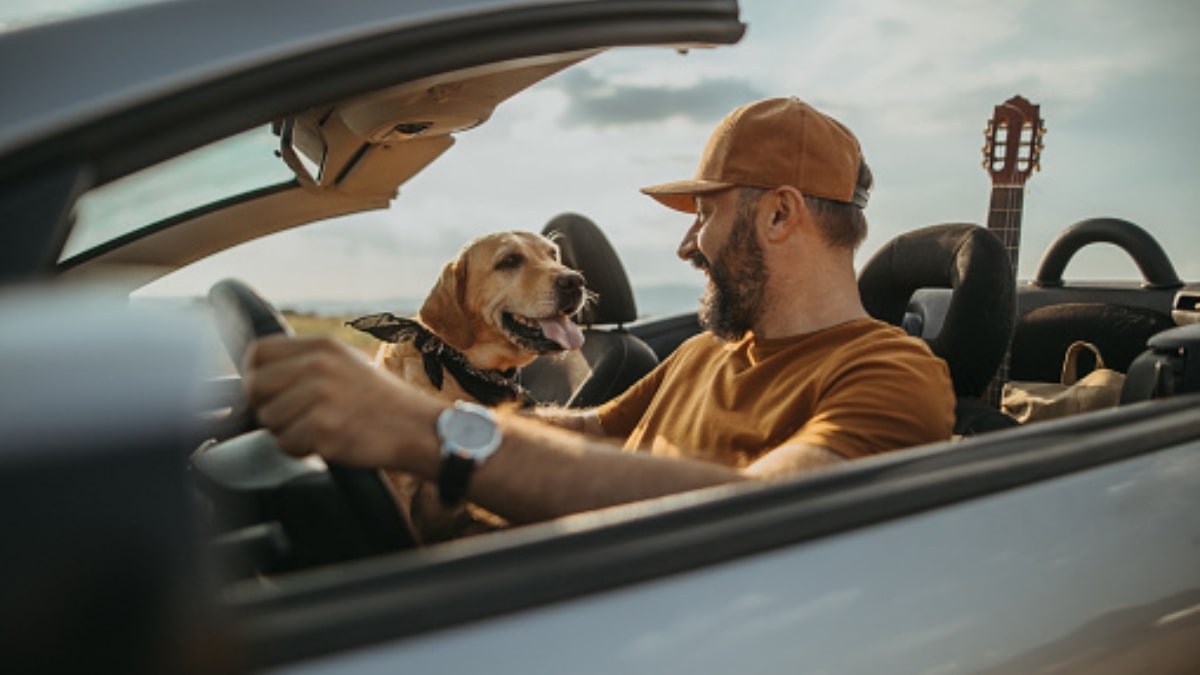 Il cane ha paura della macchina?