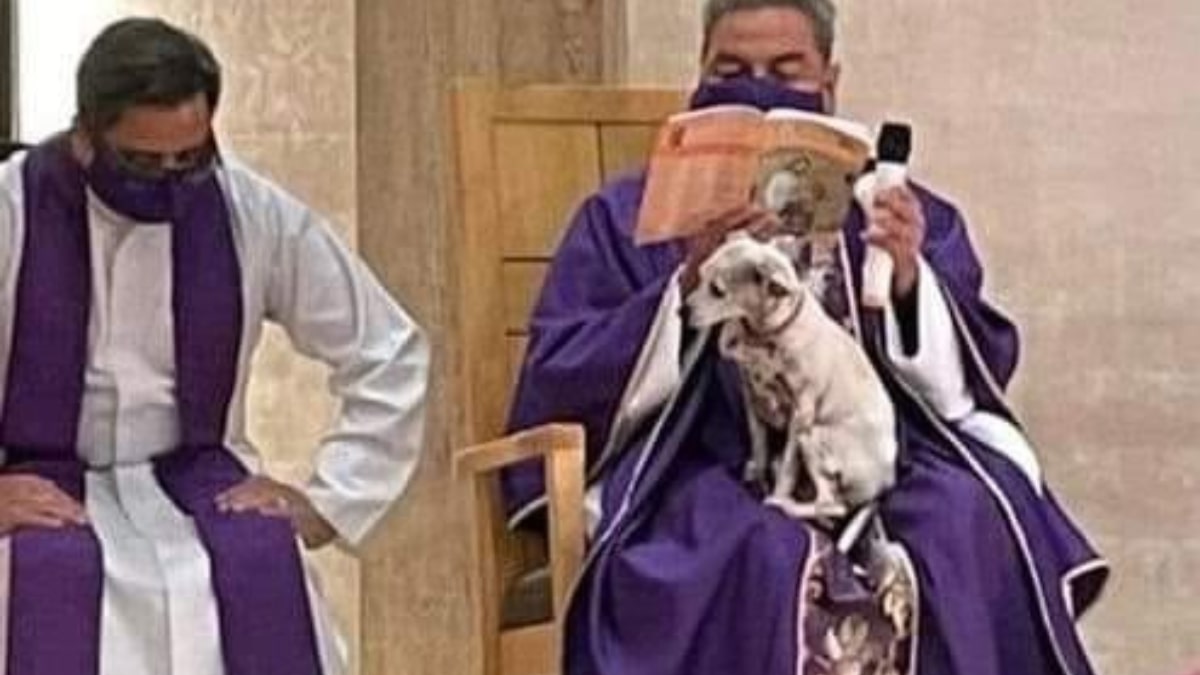 Il sacerdote celebra la messa con il suo cane