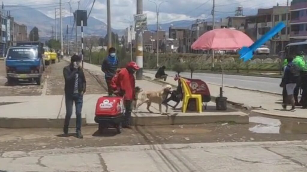 Il dolce cagnolone Boris