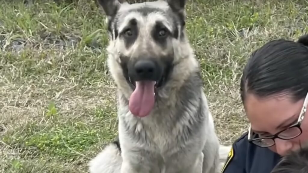 Il cane Alejandro accanto al bambino