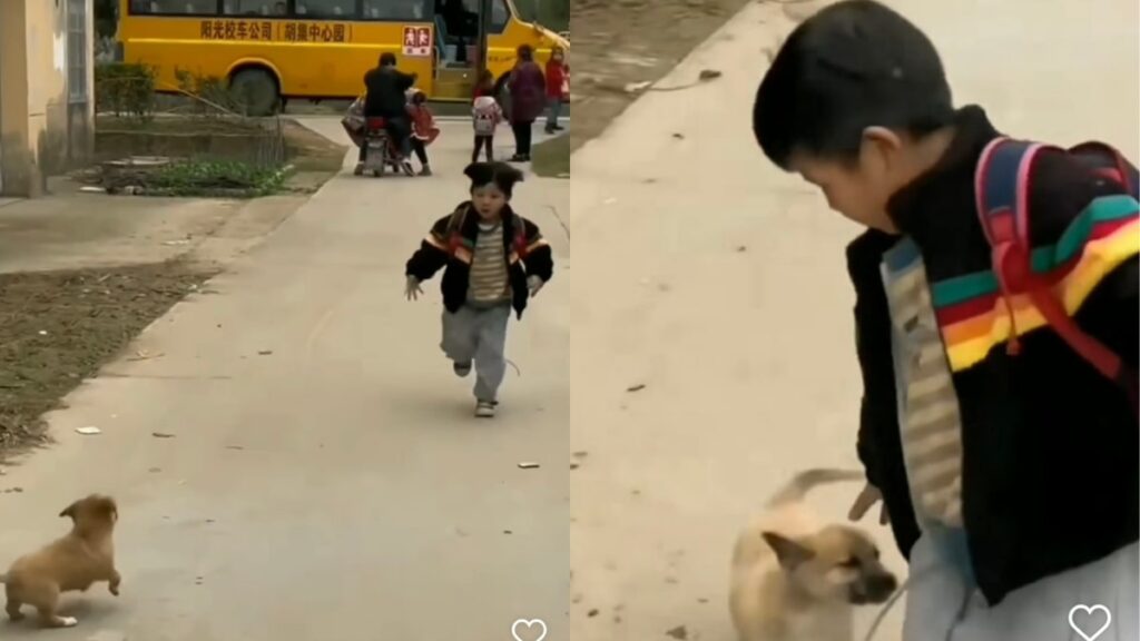 Il cane va a prendere il padroncino alla fermata del bus