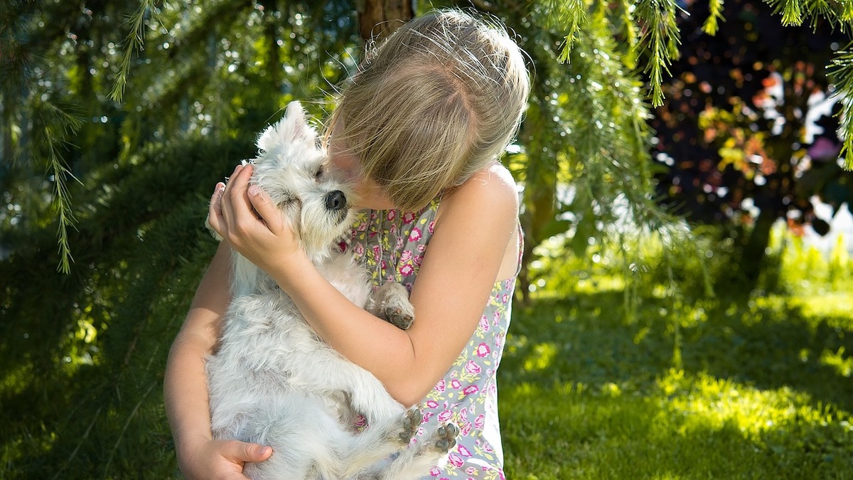 Alcune malattie dei cani possono essere trasmesse ai bambini