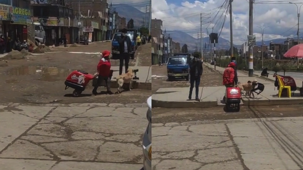 Il dolce cagnolone che aiuta il suo amico umano