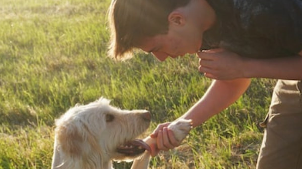 il cane come sceglie il suo padrone?