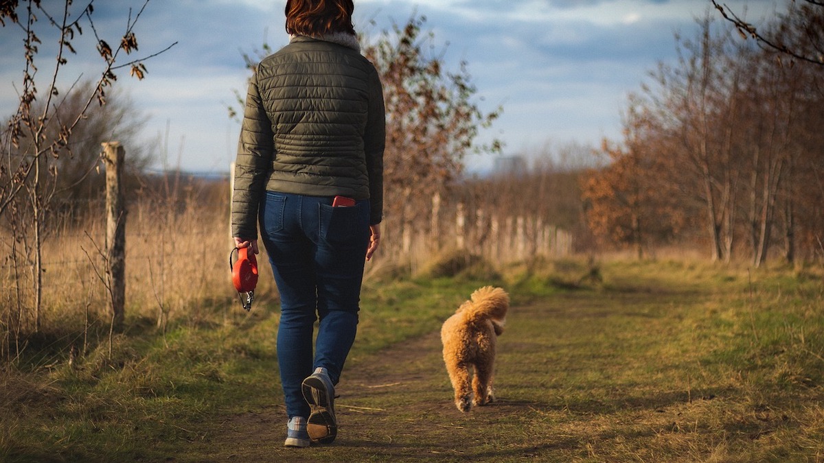 Quante volte al giorno portare fuori il cane