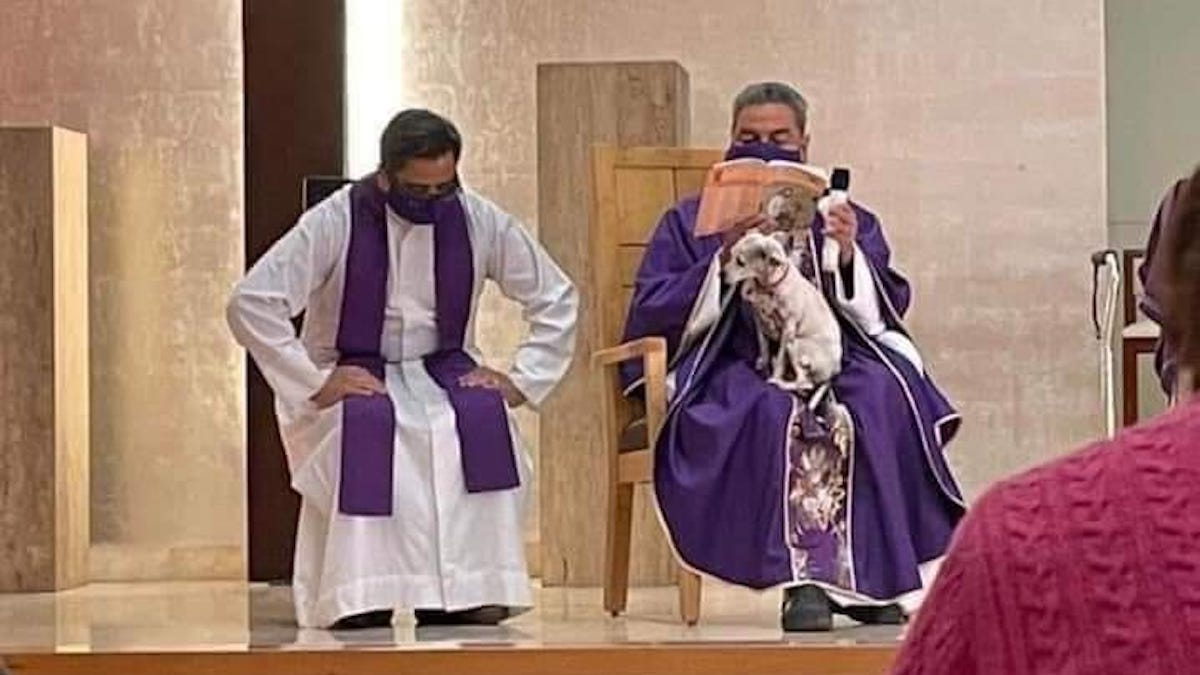 Il sacerdote con il cagnolino in braccio