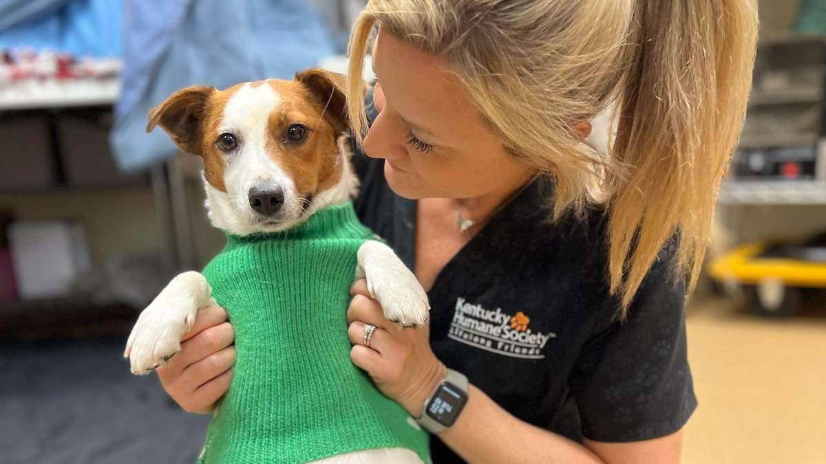 Momma Malone, la cagnolina che ha partorito 9 cuccioli