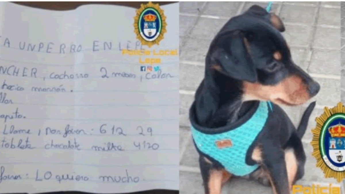 il cane scompare e la bimba scrive un annuncio molto tenero