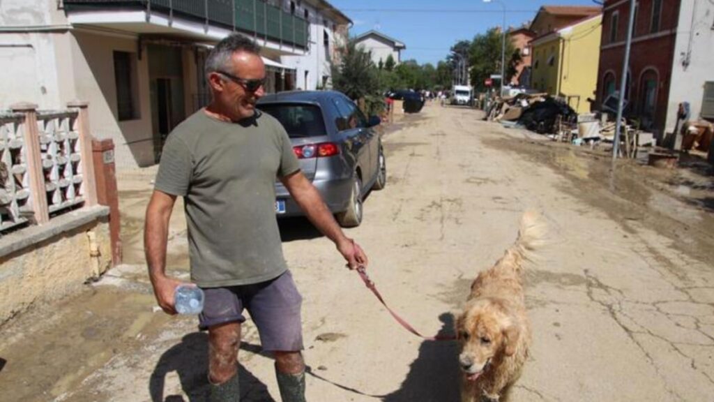 Il cane Rocco si è salvato dall'alluvione