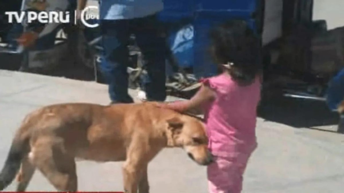 Il cane salva la bambina scomparsa