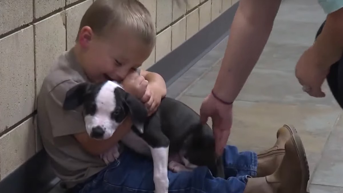 Il bambino Boyers e il suo amico cagnolino