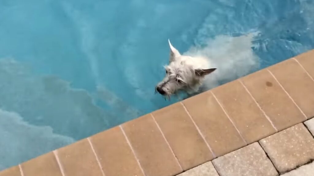 Christy si diverte in piscina