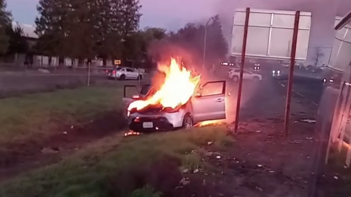 Cagnolino salvato da un incendio in auto