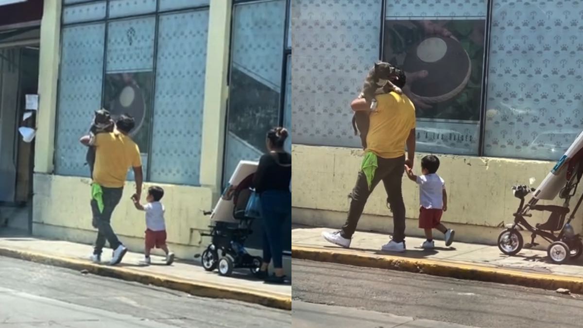 Il cane in braccio per l'asfalto bollente