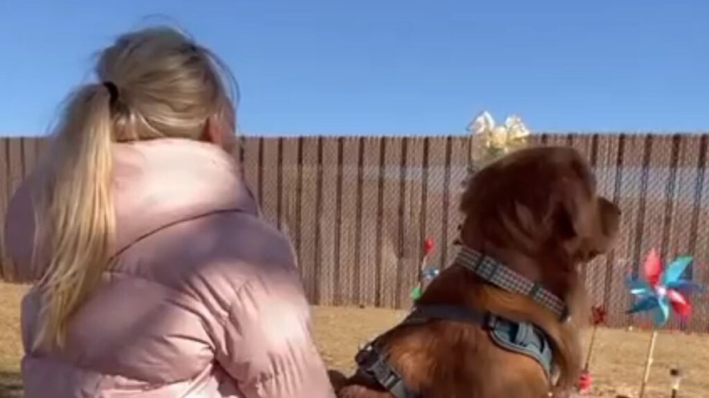 La storia del cane portato al cimitero