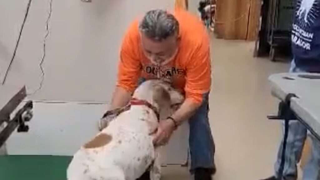 Il cane Ellie e il suo amico umano