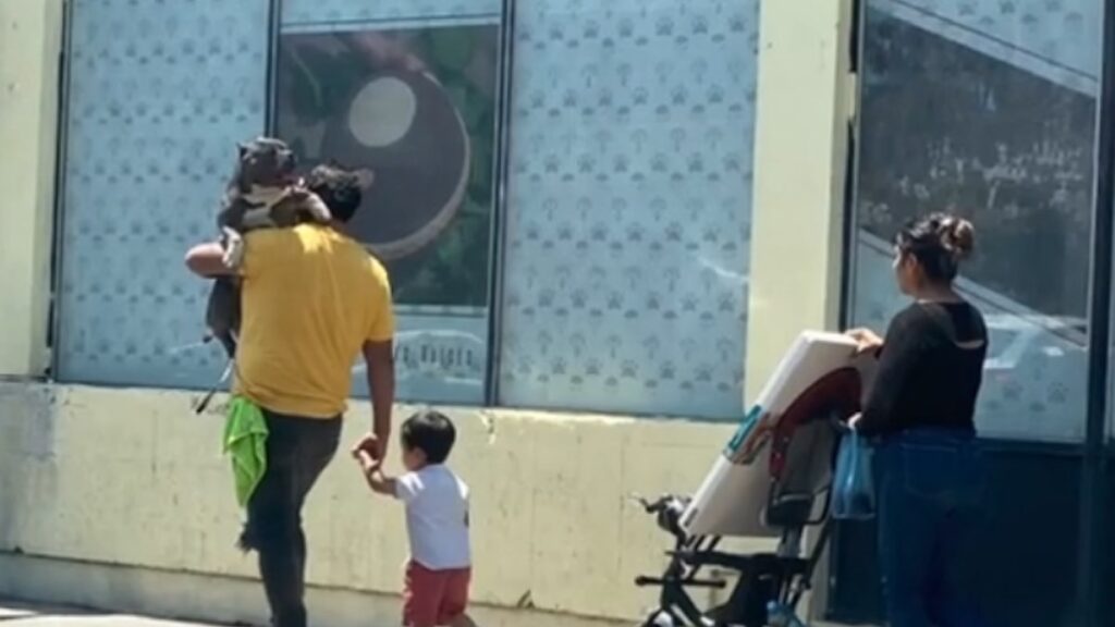 Il cucciolo in braccio in strada