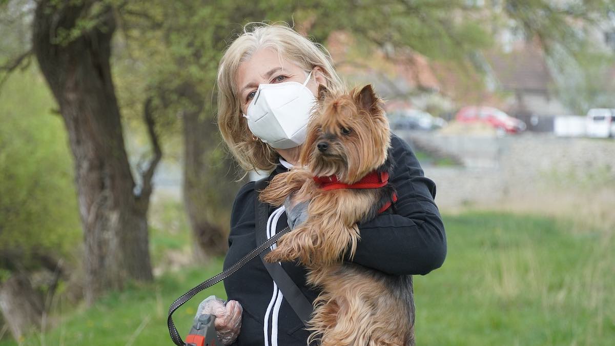 Il cane riesce a fiutare il Covid 19