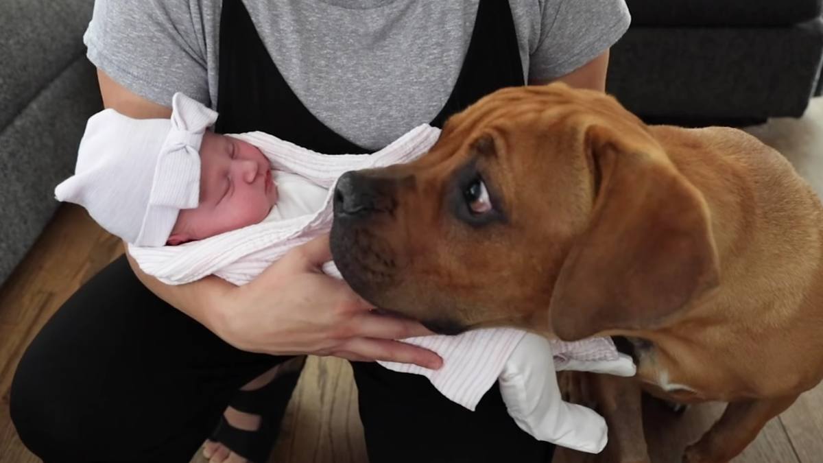 Cagnolino cieco incontra neonata